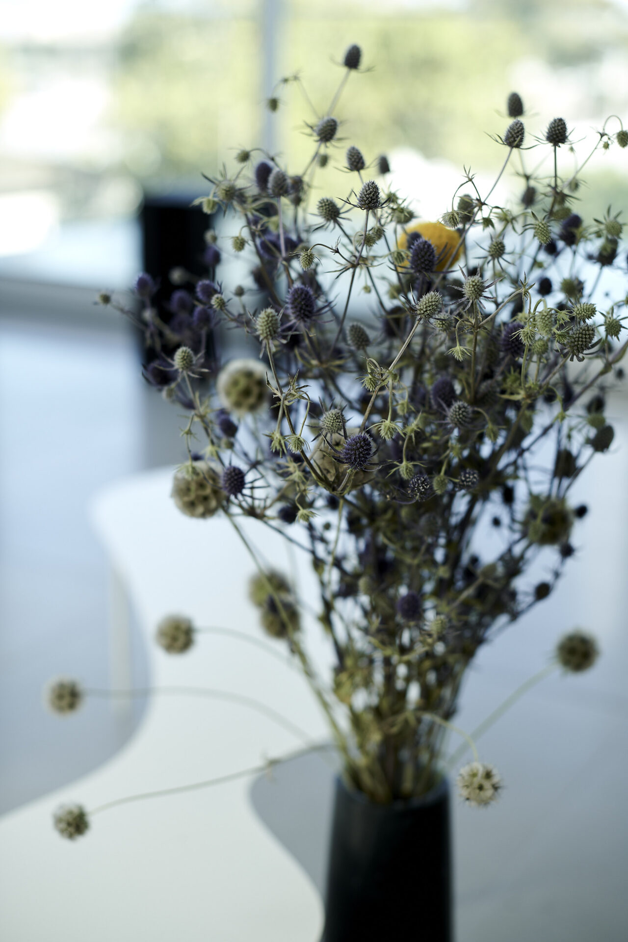 Popular Concierge Services at Asteras Kings Luxury Apartment Building in West Hollywood