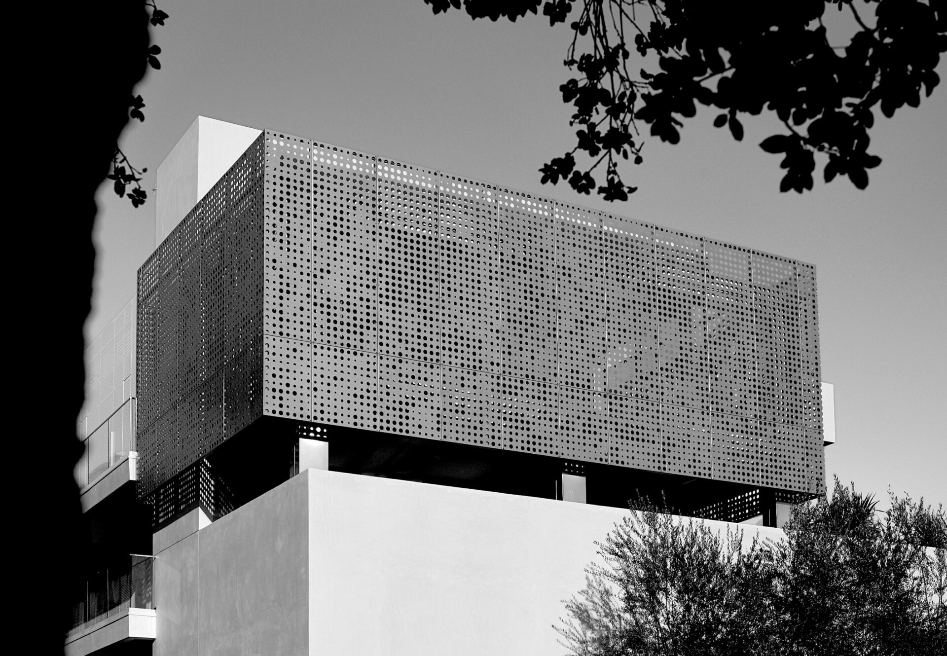 Front façade of Asteras Kings featuring a perforated metal screen, framed by tree branches beneath a clear blue sky.