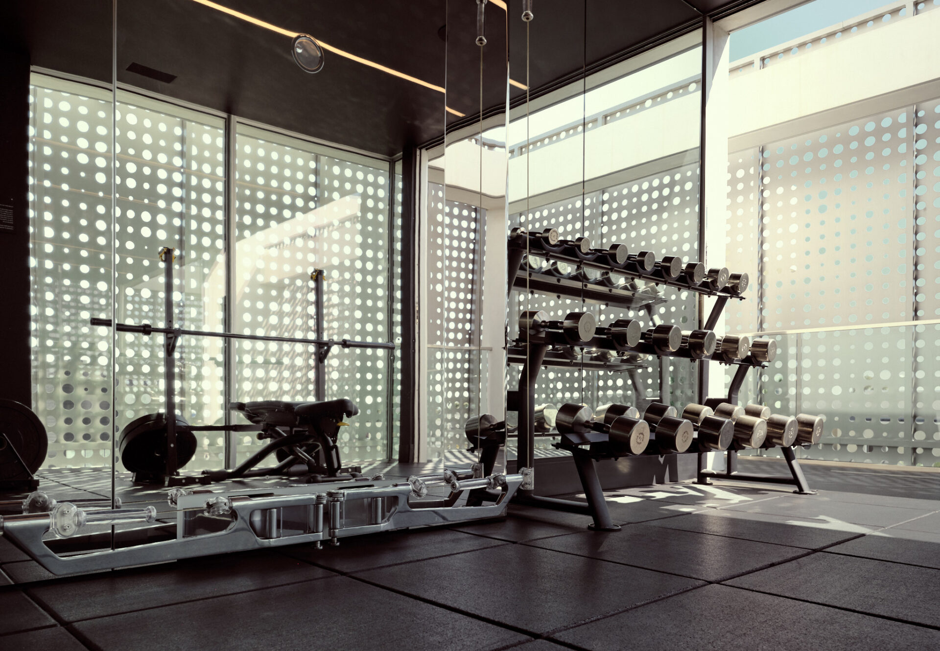 Penthouse fitness studio with free weights and strength equipment, framed by perforated metal privacy screens.