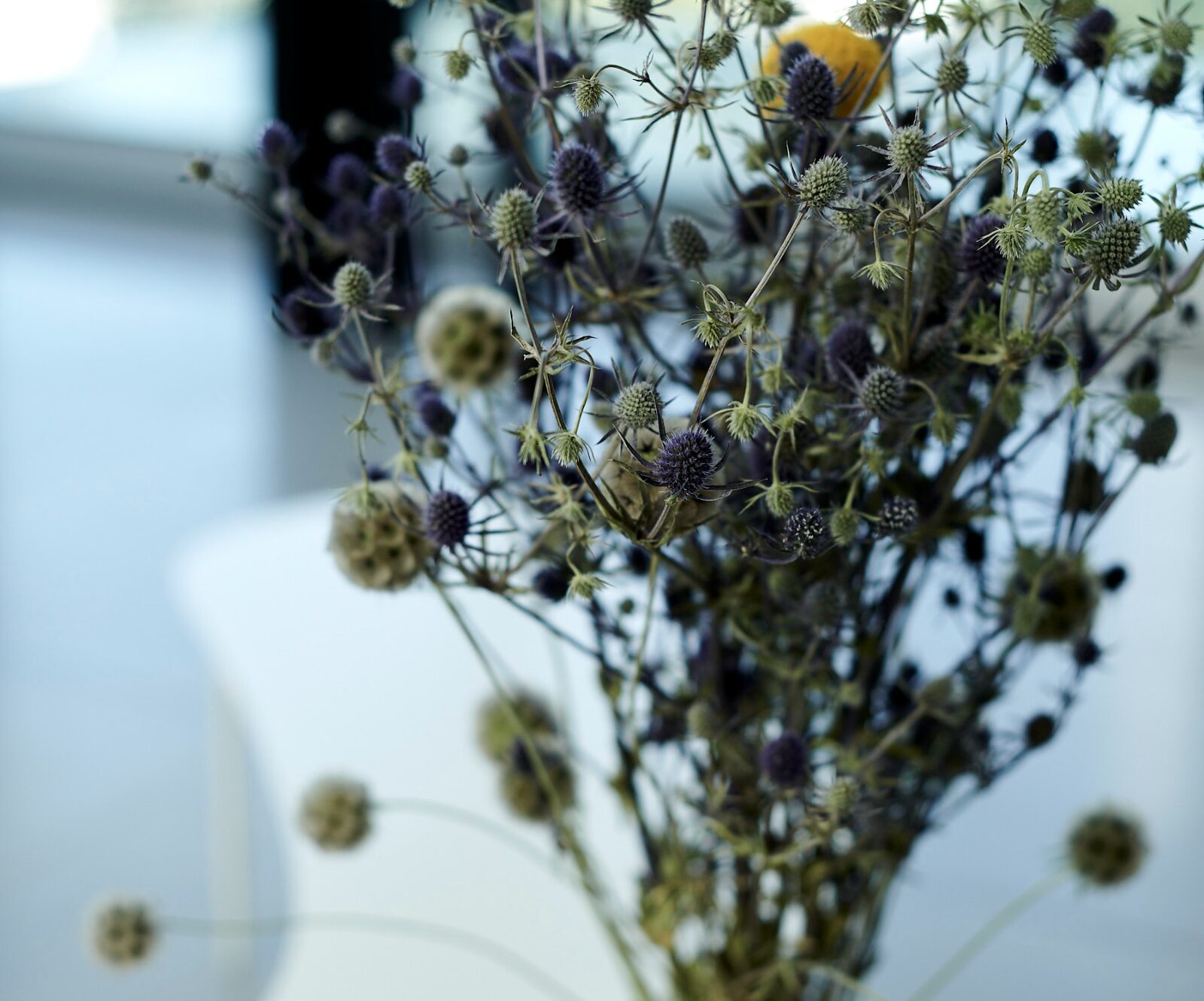 Soft-focus image of a sculptural floral arrangement in a black vase atop a white table at Asteras Kings luxury apartments.