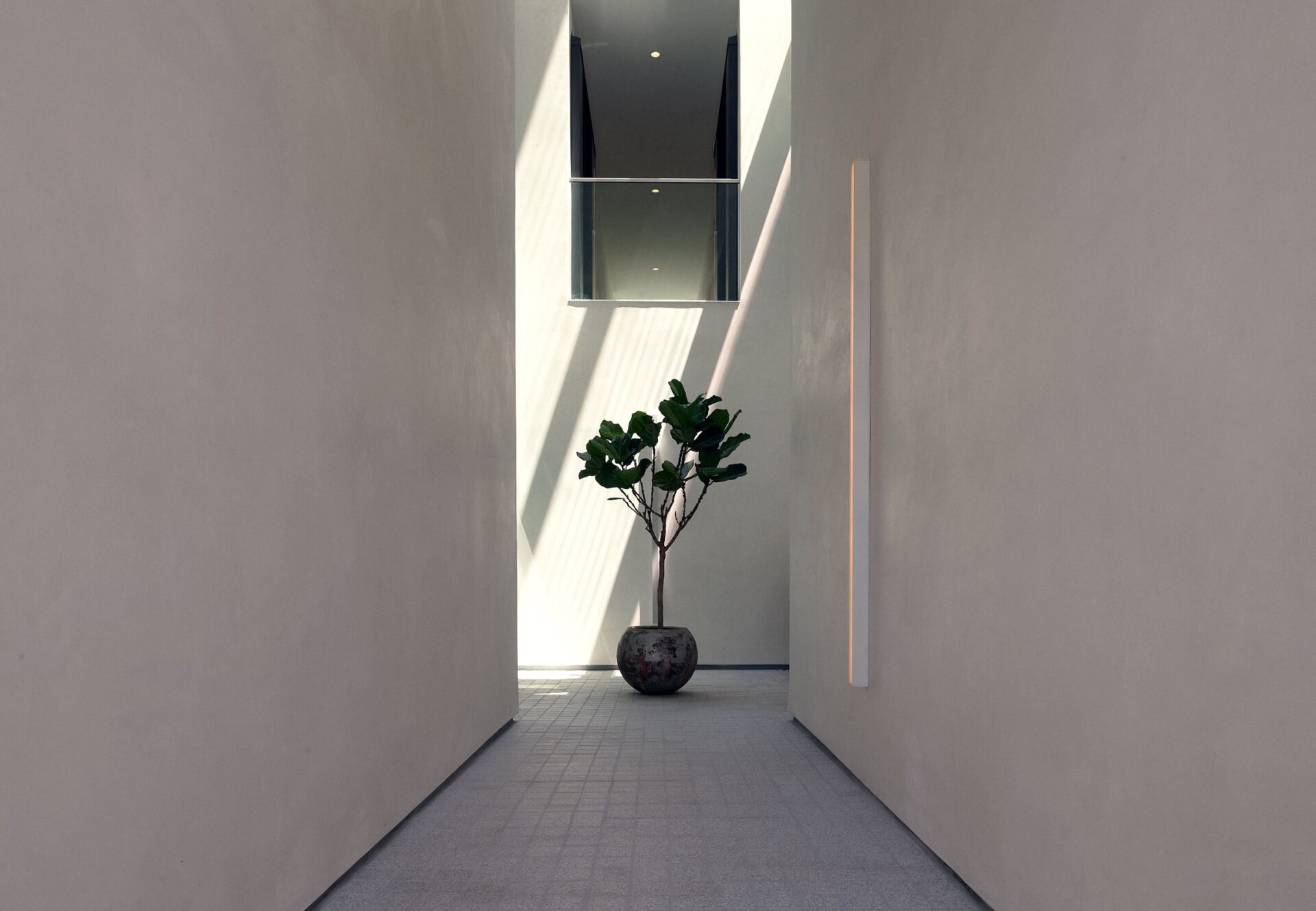 Minimalist corridor with a potted plant at the end, framed by soft sunlight and tall smooth walls.